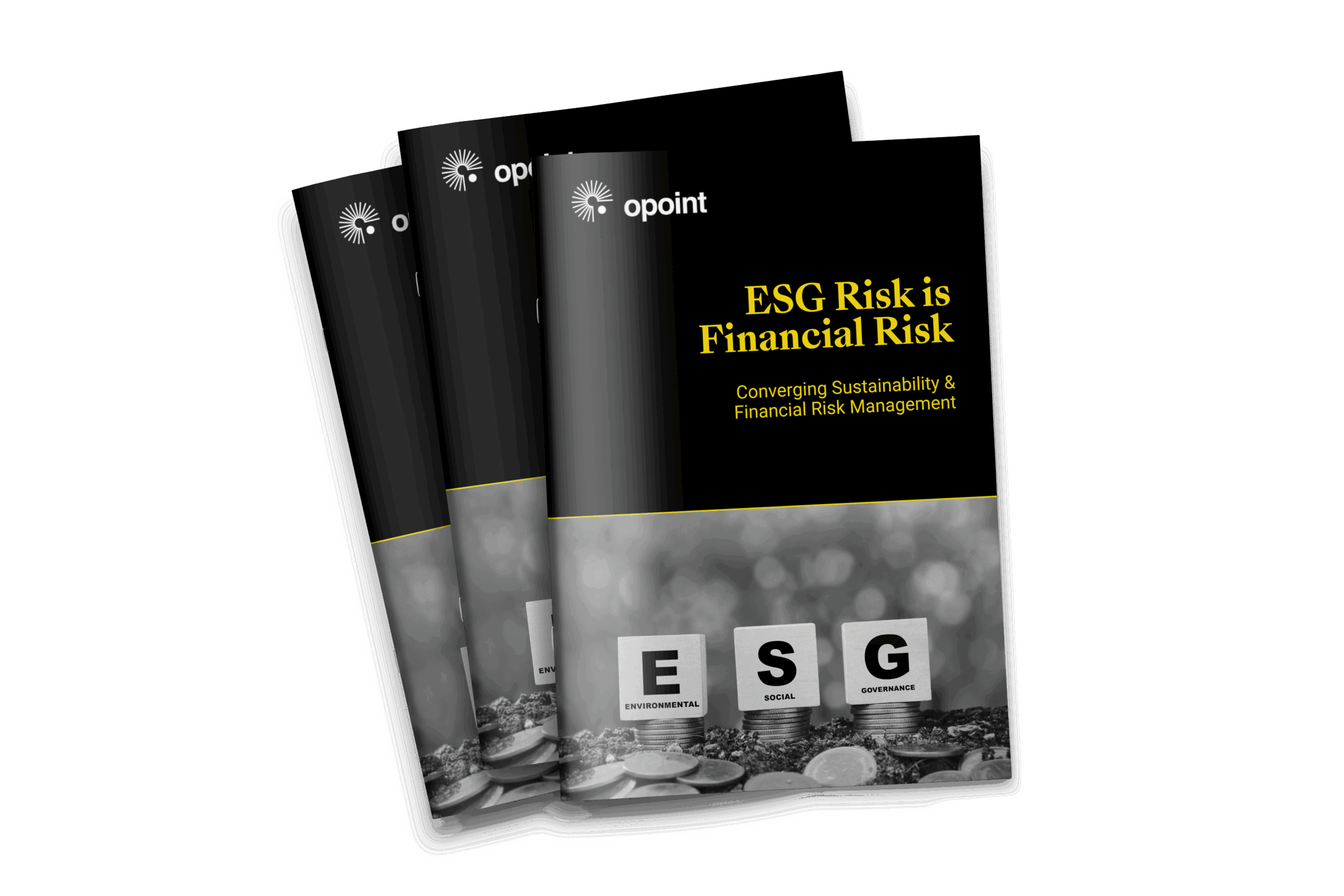 ESG risk is financial risk
