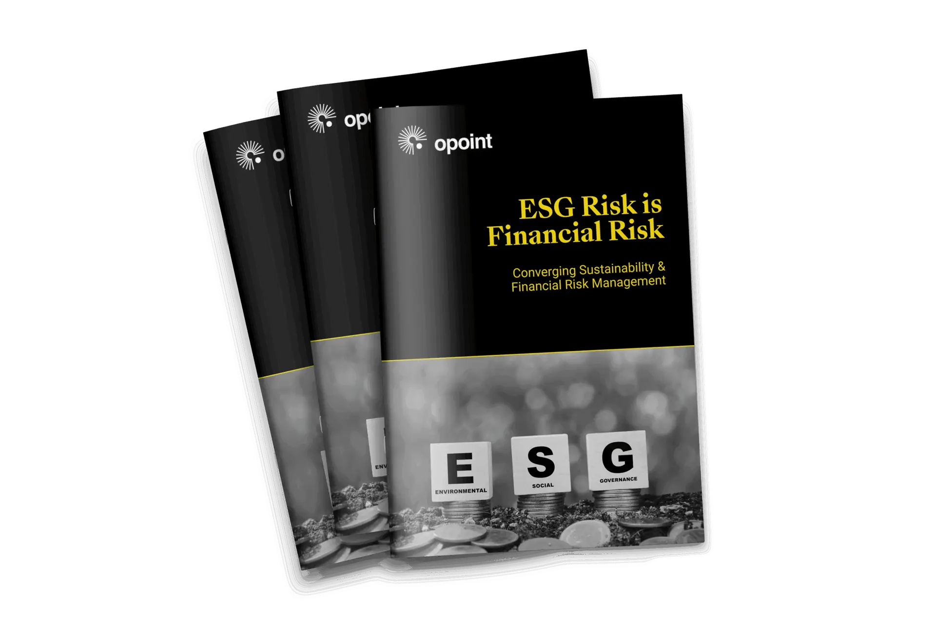ESG risk is financial risk